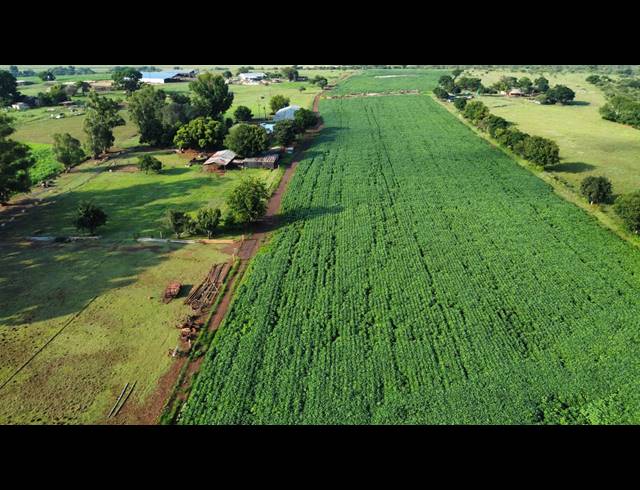 17HA FARM FOR SALE IN MIDDELBURG RURAL